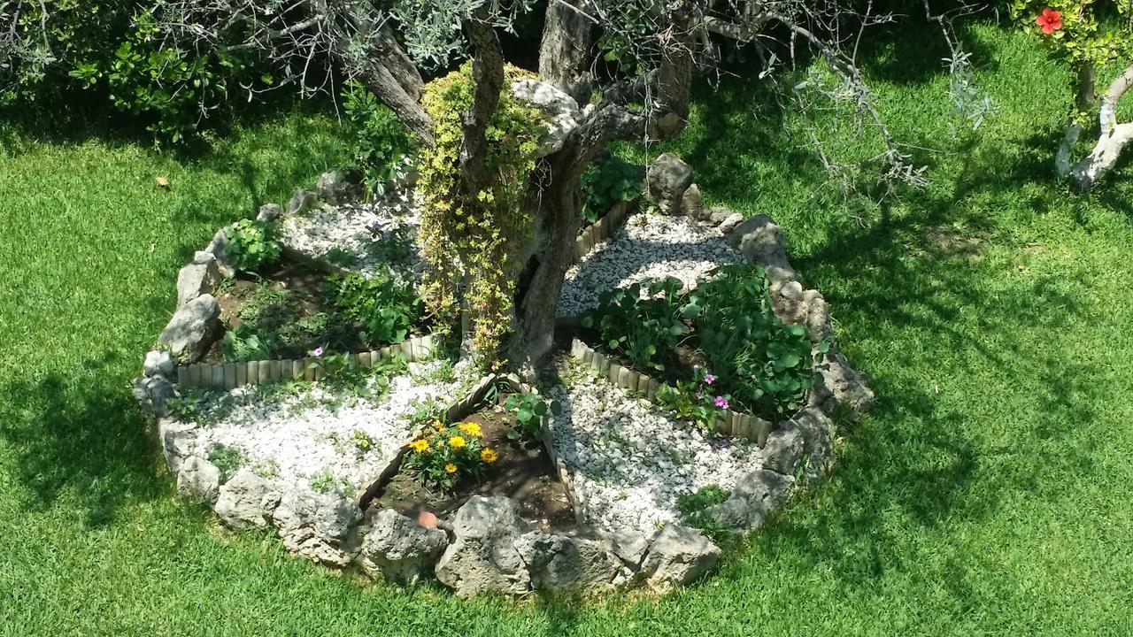 Sokrates Studios Afantou Dış mekan fotoğraf